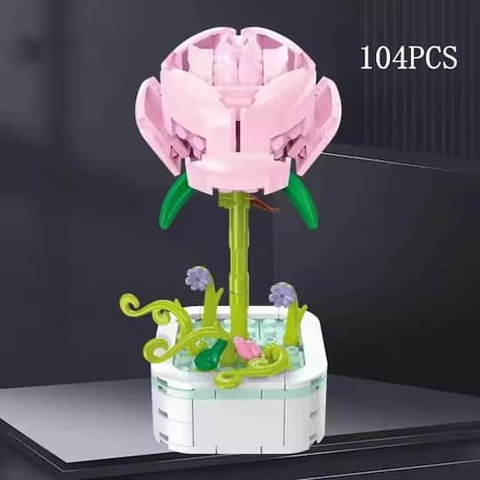 Wizardi Rose Pink Rosaceae Building Brick Potted Flower